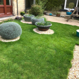 Techniques de taille pour maintenir un jardin esthétique et en bonne santé Tremblay-en-France